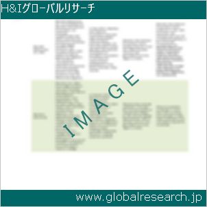 グローバルリサーチ調査レポートのイメージ